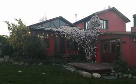 Casa Patagonica#