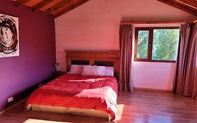 Casa Patagonica#